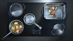 studioLine freeInduction Plus 250